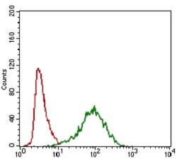 MRP4/ABCC4 Antibody (6A7H3) - BSA Free, Novus Biologicals:Antibodies:Primary