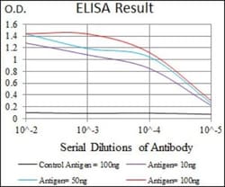 MRPL42 Antibody (3H6G11) - BSA Free, Novus Biologicals:Antibodies:Primary