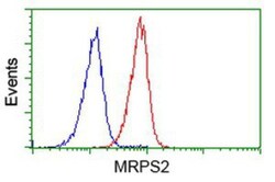 MRPS2 Antibody (OTI4D6), Novus Biologicals 0.1mL; Unlabeled:Antibodies,