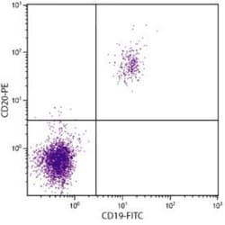 CD20 Antibody (B-Ly1), FITC, Novus Biologicals 1mL; FITC:Antibodies, Monoclonal