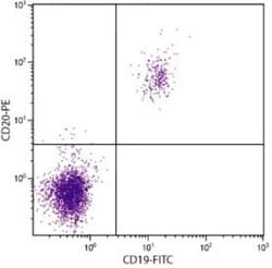 CD20 Antibody (B-Ly1), PE, Novus Biologicals 1mL; PE:Antibodies, Monoclonal