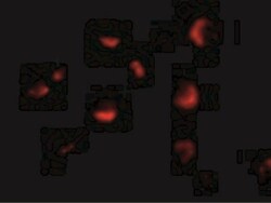MTA2 Antibody - BSA Free, Novus Biologicals 0.1mg; Unlabeled:Antibodies,