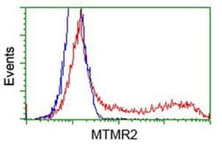 MTMR2 Antibody (OTI2D2), Novus Biologicals 0.1mL; Unlabeled:Antibodies,