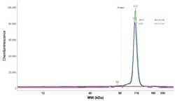 MVP Antibody, Novus Biologicals 0.1mL; Unlabeled:Antibodies, Polyclonal