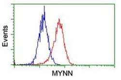 Myoneurin Antibody (OTI1F10), Novus Biologicals 0.1mL; Unlabeled:Antibodies,