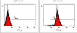 Nanog Antibody, Novus Biologicals 0.1mL; Unlabeled:Antibodies, Polyclonal