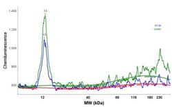 NDUFC2 Antibody, Novus Biologicals 0.1mL; Unlabeled:Antibodies, Polyclonal