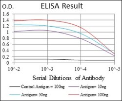 NEDD8 Antibody (5B8) - BSA Free, Novus Biologicals:Antibodies:Primary Antibodies
