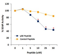 Novus Biologicals NFkB p50 (NLS) Inhibitor Peptide Set 2mg:Custom Products