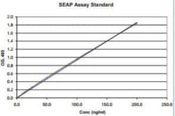 Novus Biologicals™ NFkB Secreted Alkaline Phosphatase Reporter Assay Kit (Colorimetric)