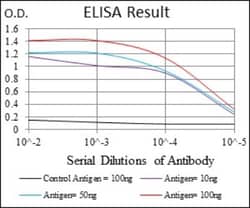 NF-L Antibody (1H3), Novus Biologicals:Antibodies:Primary Antibodies