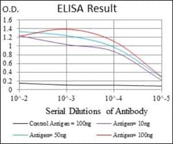 NF-L Antibody (2G10) - BSA Free, Novus Biologicals 0.1mL; Unlabeled:Antibodies,