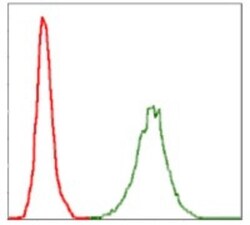 NF-L Antibody (2G10) - BSA Free, Novus Biologicals 0.1mL; Unlabeled:Antibodies,