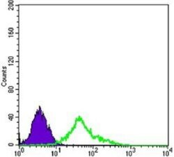 NGFR/TNFRSF16/p75NTR Antibody (2F1C2) - BSA Free, Novus Biologicals 0.1mL;