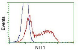 Nitrilase 1 Antibody (OTI3A11), Novus Biologicals 0.1mL; Unlabeled:Antibodies,