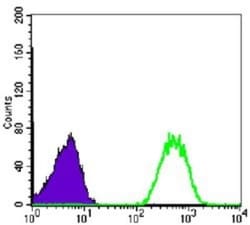 NM23-H1 Antibody (4B2), Novus Biologicals 0.1mL; Unlabeled:Antibodies,