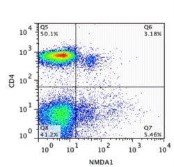 NMDA R, NR1 Subunit Antibody, Novus Biologicals 0.025mg; Unlabeled:Antibodies,