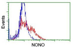 NONO Antibody (OTI4D9), Novus Biologicals 0.1 mL | Buy Online | Novus Biologicals | Fisher Scientific
