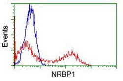 NRBP1 Antibody (OTI5C3), Novus Biologicals 0.1mL; Unlabeled:Antibodies,