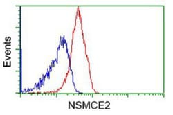 Nse2 Antibody (OTI6A6), Novus Biologicals 0.1 mL | Buy Online | Novus Biologicals | Fisher Scientific