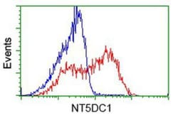 NT5DC1 Antibody (OTI1E11), Novus Biologicals 0.1mL; Unlabeled:Antibodies,