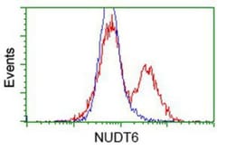 NUDT6 Antibody (OTI9D12), Novus Biologicals 0.1mL; Unlabeled:Antibodies,