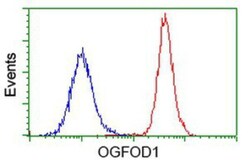 OGFOD1 Antibody (OTI1D9), Novus Biologicals 0.1mL; Unlabeled:Antibodies,