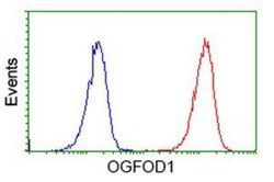 OGFOD1 Antibody (OTI1D9), Novus Biologicals 0.1mL; Unlabeled:Antibodies,