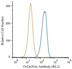 O-GlcNAc Antibody (RL2), Alexa Fluor 647, Novus Biologicals 0.1 mL | Buy Online | Novus Biologicals | Fisher Scientific