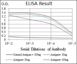 ONECUT3 Antibody (10B2F5) - BSA Free, Novus Biologicals:Antibodies:Primary
