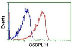 OSBPL11 Antibody (OTI6A6), Novus Biologicals 0.1mL; Unlabeled:Antibodies,