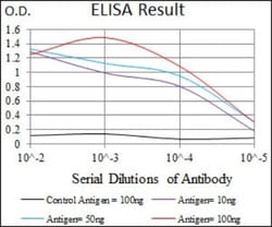 Osteopontin/OPN Antibody (7C5H12) - BSA Free, Novus Biologicals 0.1mL;