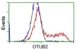 Otubain-2 Antibody (OTI11B3), Novus Biologicals 0.1mL; Unlabeled:Antibodies,