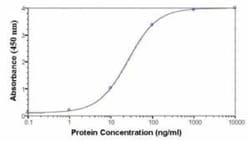 Complement Component C1qA Antibody - Azide and BSA Free, Novus Biologicals