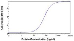 PAFAH1B2 Antibody - Azide and BSA Free 0.05mg; Unlabeled:Antibodies, Polyclonal