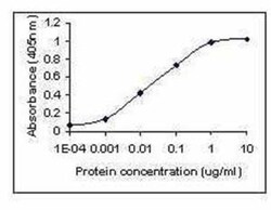 Peptide YY Antibody 0.05mg; Unlabeled:Antibodies, Polyclonal