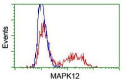 p38 gamma/SAPK3 Antibody (OTI10E1), Novus Biologicals 0.1mL; Unlabeled:Antibodies,