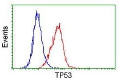 p53 Antibody (OTI5E2), Novus Biologicals 0.1mL; Unlabeled:Antibodies, Monoclonal