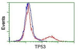 p53 Antibody (OTI5E2), Novus Biologicals 0.1mL; Unlabeled:Antibodies, Monoclonal