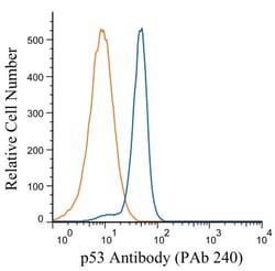 p53 Antibody (PAb 240) - BSA Free, Novus Biologicals:Antibodies:Primary