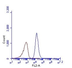 p62/SQSTM1 Antibody (1478), Novus Biologicals 0.1mL; Unlabeled:Antibodies,