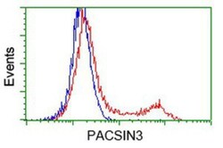 PACSIN3 Antibody (OTI4F8), Novus Biologicals 0.1mL; Unlabeled:Antibodies,