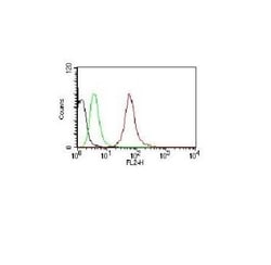 Cytokeratin, pan Antibody (AE-1/AE-3), Novus Biologicals:Antibodies:Primary