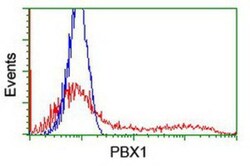 PBX1 Antibody (OTI1C11), Novus Biologicals 0.1mL; Unlabeled:Antibodies,