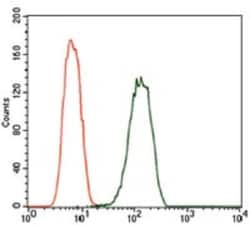 PDE1B Antibody (5C4A3) - BSA Free, Novus Biologicals:Antibodies:Primary