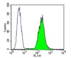 Protein Disulfide Isomerase/P4HB Antibody (RL77), Novus Biologicals 0.1mL;
