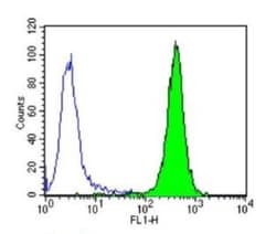 Protein Disulfide Isomerase/P4HB Antibody (RL77), Novus Biologicals 0.1mL;