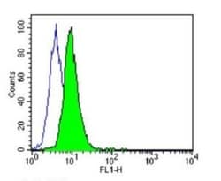 Protein Disulfide Isomerase/P4HB Antibody (RL77), Novus Biologicals 0.1mL;