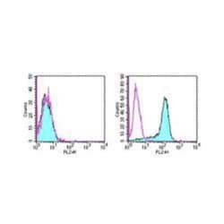 PD-L2/B7-DC/PDCD1LG2 Antibody (TY25) - BSA Free, Novus Biologicals 0.125