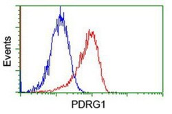 PDRG1 Antibody (OTI4F12), Novus Biologicals 0.1mL; Unlabeled:Antibodies,